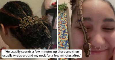 Adorable Rescue Snake Likes Wrapping Himself Around His Mom's Bun And Pretends To Be A Scrunchie