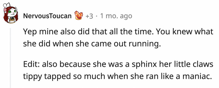 This person's cat specifically runs only right after she's done with her business