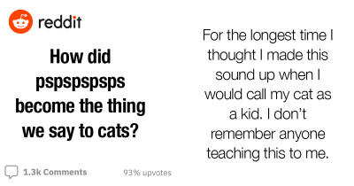 Someone on Reddit Asked The Reason Behind Why People Say Pspspspsps When Calling Cats