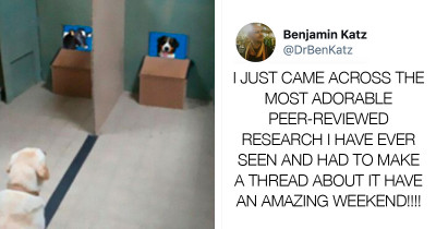 Adorable Dogs Go Viral During Dog-Related Research
