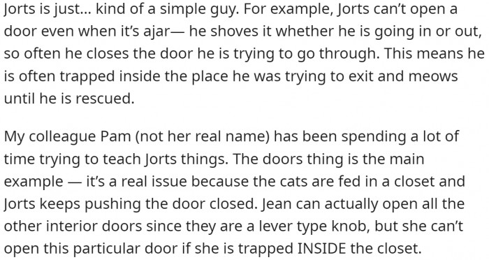 The two of them seem to be really different from each other