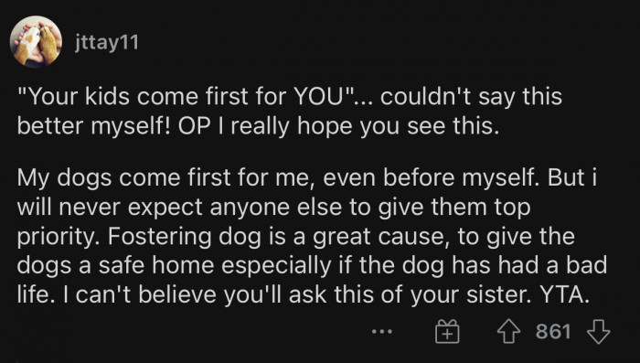 Fostering dogs is a great cause, and OP should be encouraging it, not the opposite.