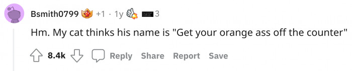 Redditors started talking about what name they ended up with.