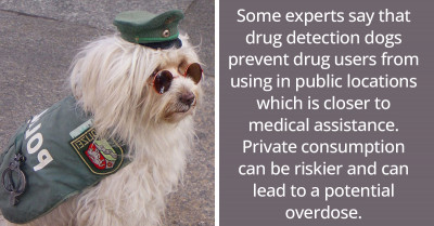 The Internet Has Fallen In Love With The Tiniest Police Pup Ever