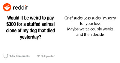 Person Asks Reddit If It Would Be Crazy To Pay $300 For A Plushie Clone Of Their Dog Who Passed Away