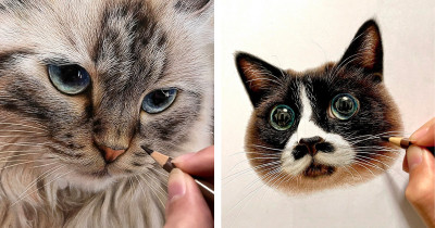 Photo Realistic Cat Drawings by This Japanese Artist Are Impossible to Tell Apart from Real Life