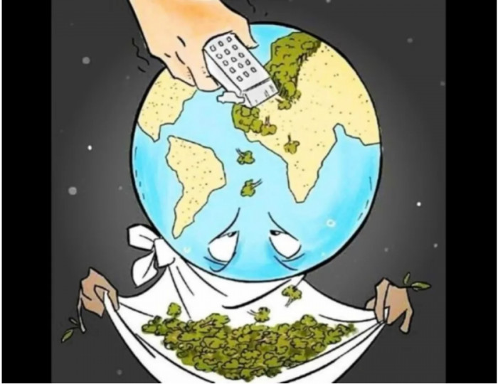 22. Shaving off the trees to build buildings, not knowing that we wouldn't live long enough to inhabit them.