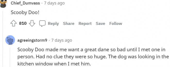 21. A standing ovation for our very own Scooby-Doo!