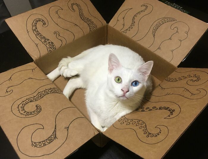 25. She wants to be an octopus