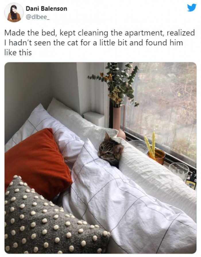9. This cat's way of chilling.