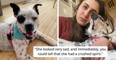 Rescued Dog Who Didn’t Have A Good Start In Life Tries To Gather The Courage To Enter Her New Home