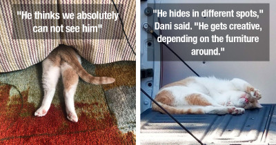 Silly Cat Is Exceptionally Bad At Hiding, And It's Hilarious