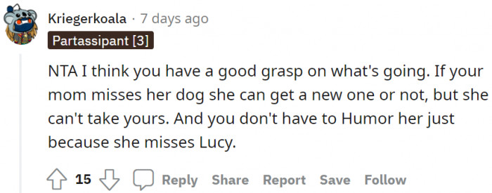 Her mom misses Lucy, but she can always get a new dog.