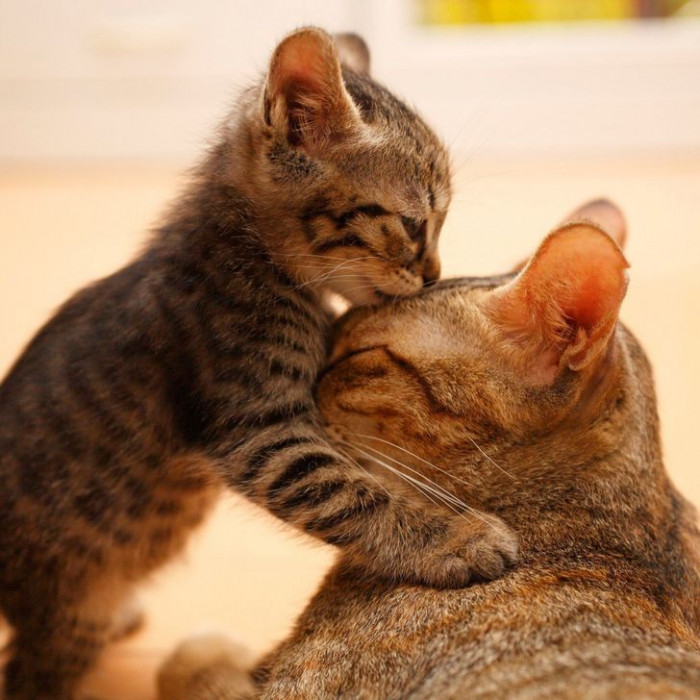 15. Mom and child are having a bonding time