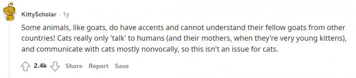 This user explains cat-to-cat communication.