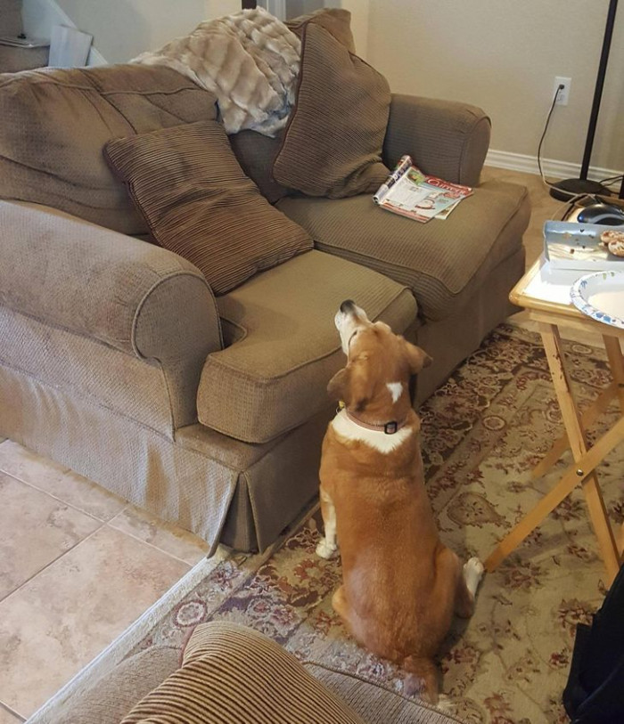 13. He's blind, and he's asking for food.