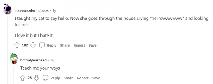 A love-hate relationship with the cat tricks.