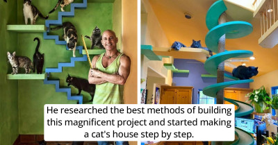 Man Transformed His House Into Cat Heaven For His 24 Rescued Feline Friends