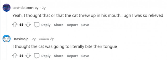 What's worse: a cat sneeze or cat vomit?
