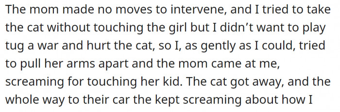 The owner tried to release the cat from the child's grip, and then the whole situation escalated.