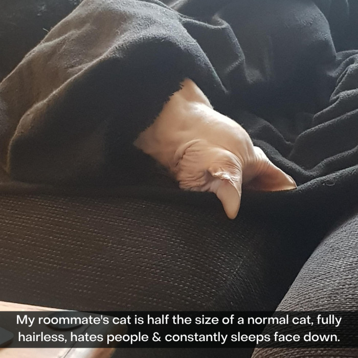 26. Smoosh your face.