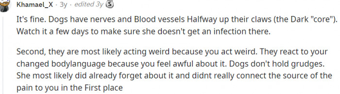 Time to learn more about dogs