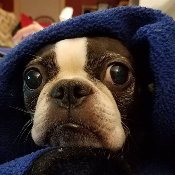 30. Entitled Yet Adorable!