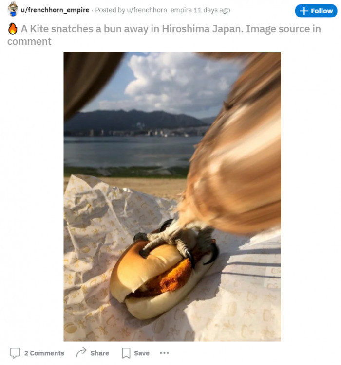 12. Too bad. It looks delicious, though.