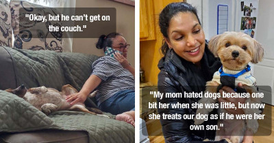 17 Stories About Mothers Who Said They Hated The Idea Of Having Pets But Were Quick To Change Their Minds
