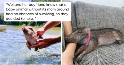 Woman Finds A Box On Her Doorstep With A Wild Baby Inside