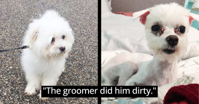 Pets Who Are Having a Bad Day And Aren't Hiding Their Feelings About It (23 Pictures)