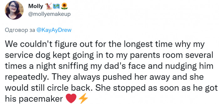 #16 I disagree; your story is impressive as well.