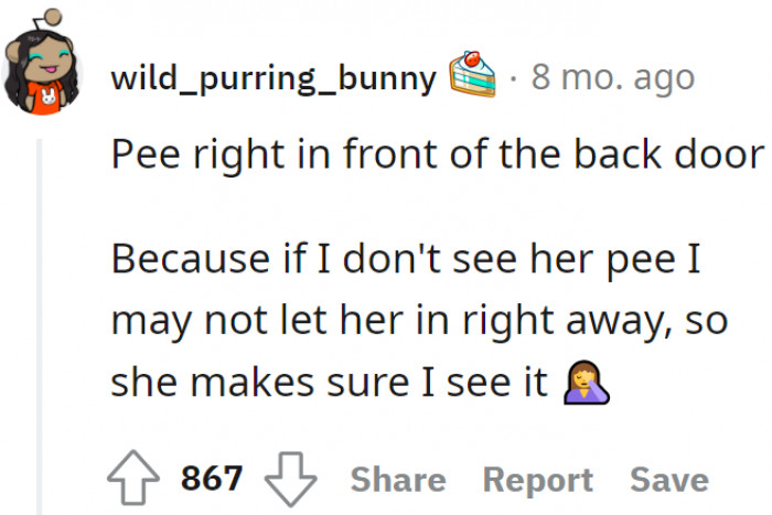 Geez... When you have to pee in front of your back door so that your dog will pee too.