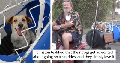 Couple Constructs A Dog Train To Carry All Their Rescue Doggos On The Most Adorable Adventurous Spree