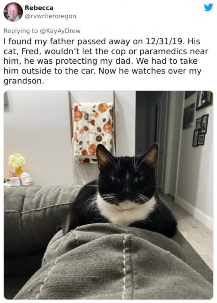 #4 Fred seems like a good protector.