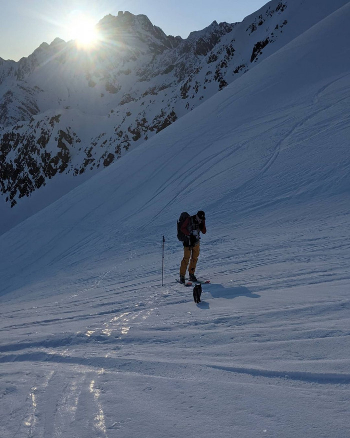 The cat was lost and scared.