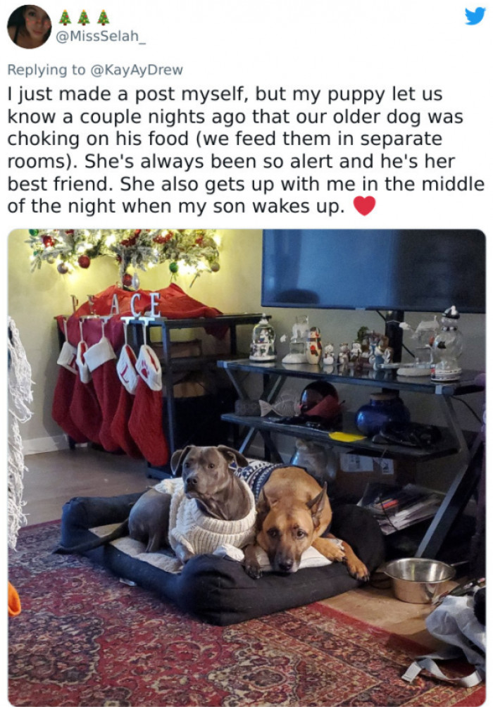 #29 Who’s chopping onions in here?!