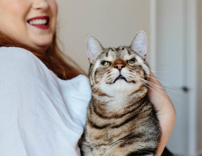 Their paw-rents describe the cats as cheeky and playful, saying: