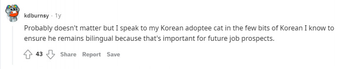 Cats do understand human language too!