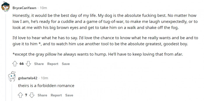 21. He's in love with you, but the pillow turns him on more.