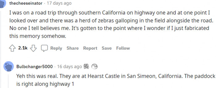 2. A herd of zebras in Southern California