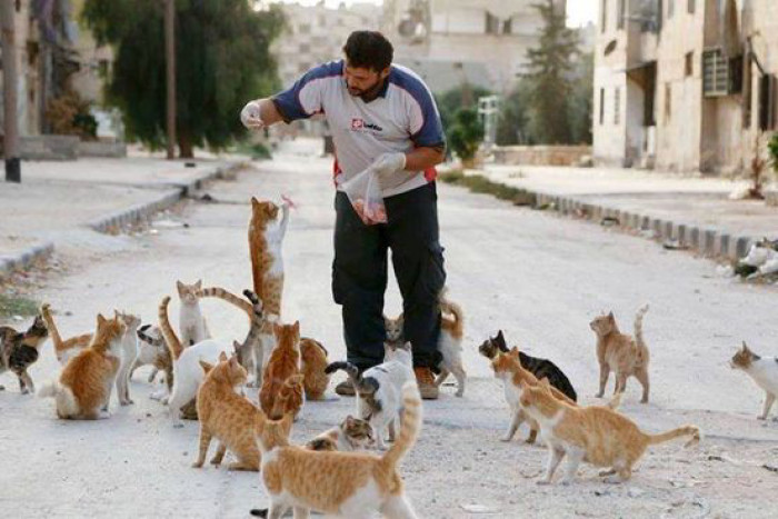 Alaa feeding orphaned cats in the streets of Masaken Hanano
