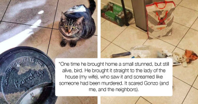 Cat Brings His Humans "Presents" Every Day to Show His Love