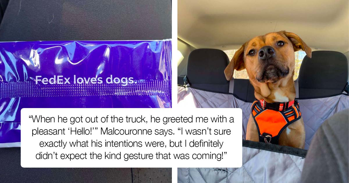 Dog Gets Unexpected Treat From A FedEx Driver, And He Loves It