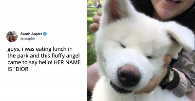 10 Tweets About Animals That Are Pure Gold