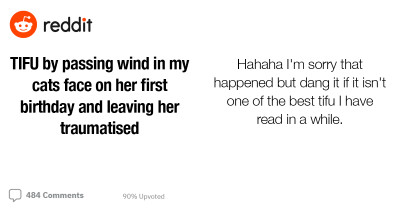 Hilarious Stories Shared By An Online Community After Reading The Story Of How A Man Passed Gas In His Cat's Face