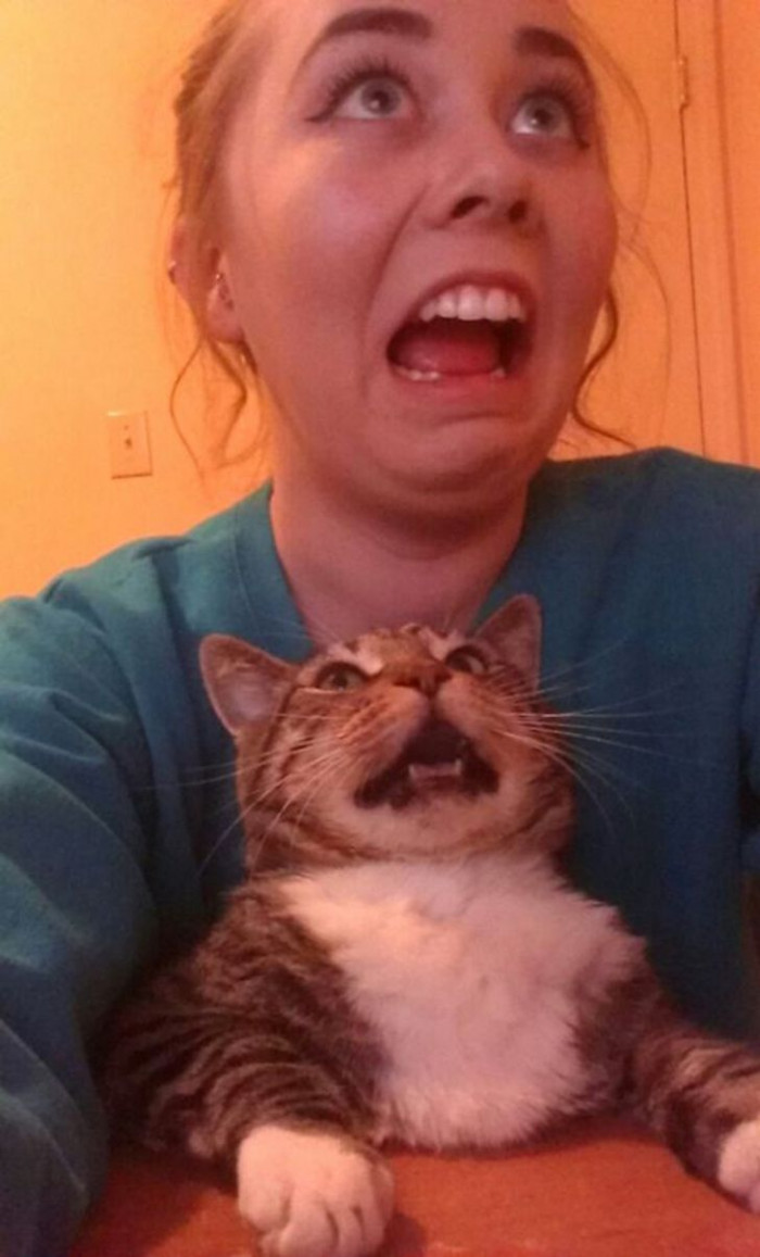 8. The look of sheer panic.