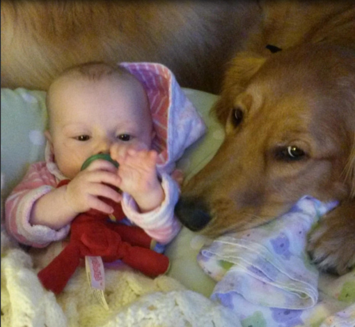 9. This big doggo thinks the baby is his and treats him like one!