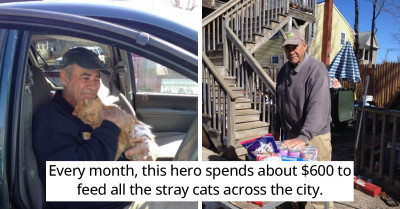 For 22 Years, This Veteran Has Been Feeding Stray Cats With The Money He Earns Selling Scrap Metal