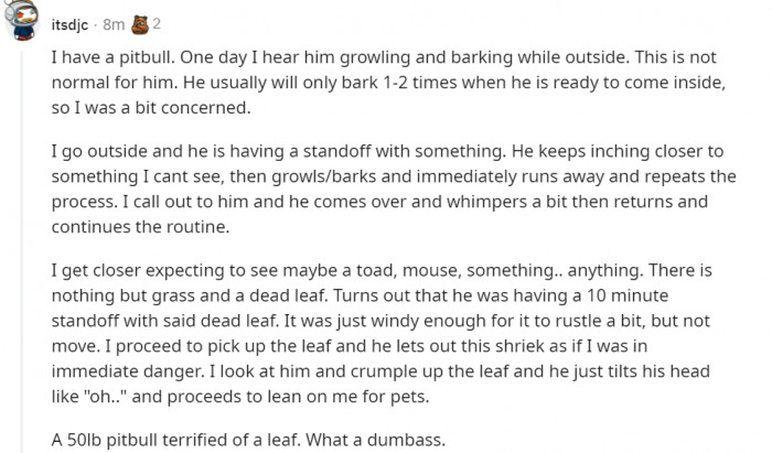 16. A fight to the death with a dangerous leaf blowing in the wind...